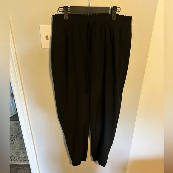 Abercrombie & Fitch Traveler Joggers - Picture 3 of 10